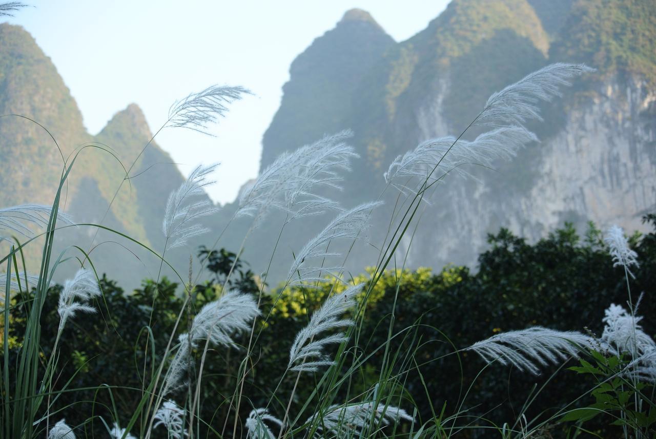 Nirvana Organic Farm Inn Yangshuo Exterior foto