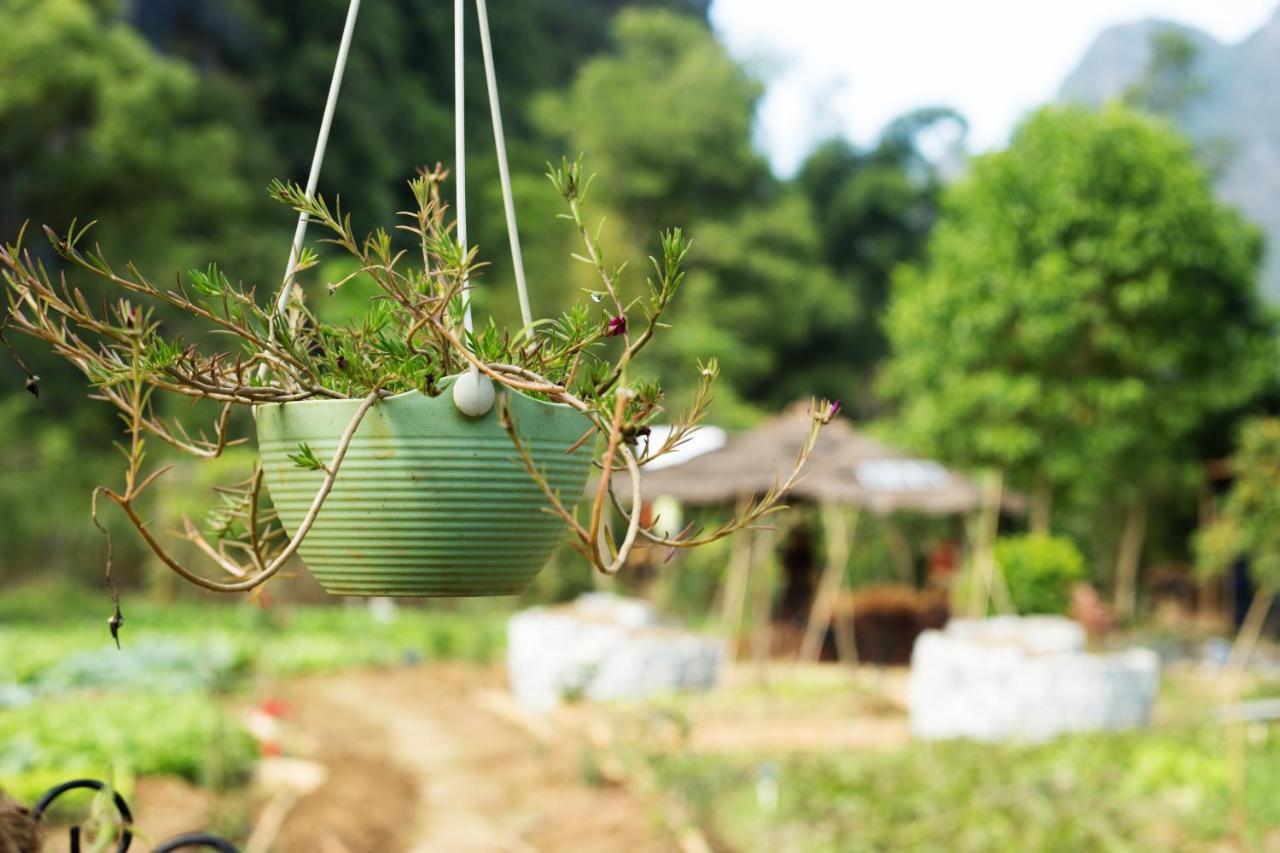 Nirvana Organic Farm Inn Yangshuo Exterior foto