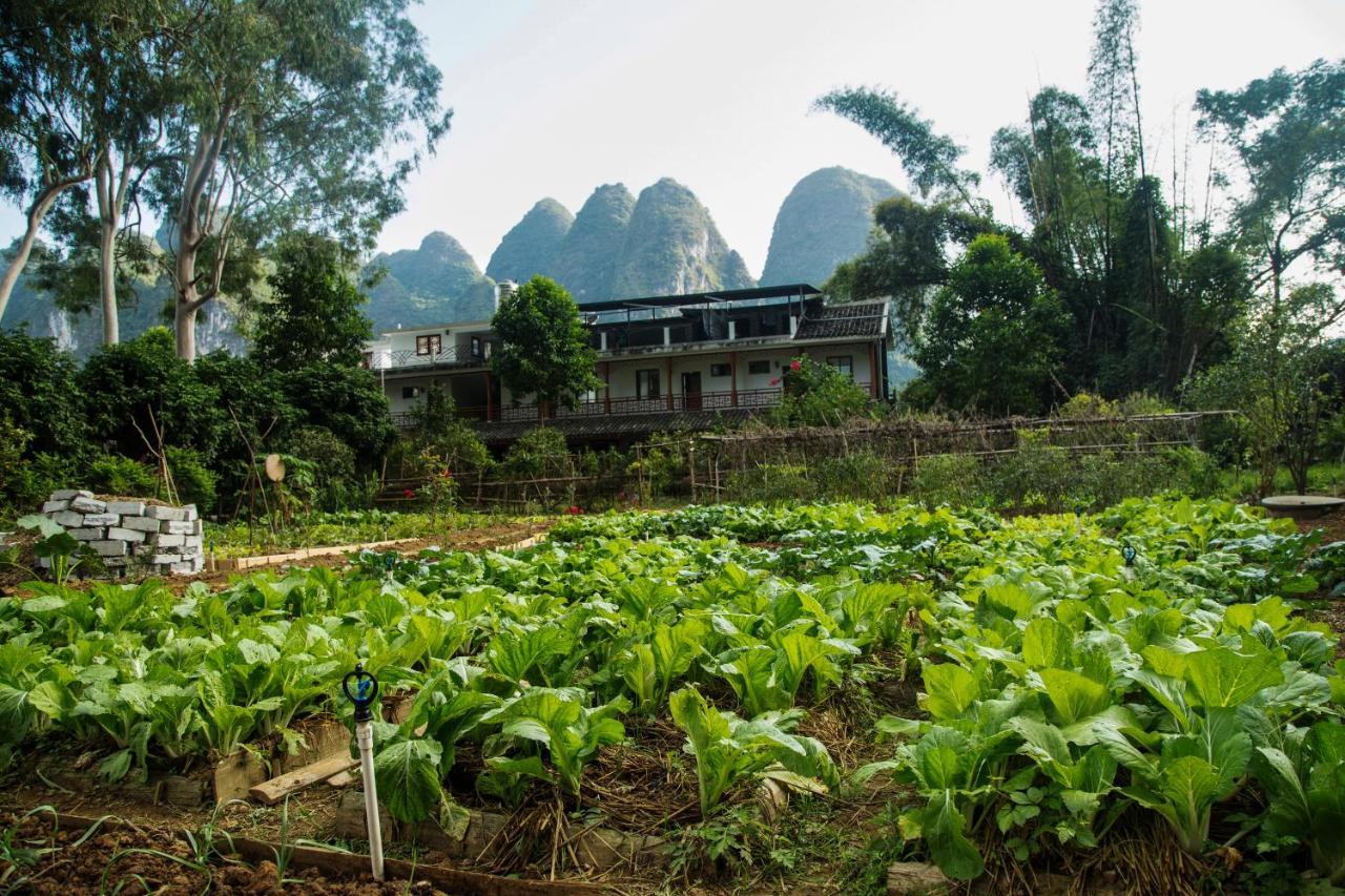 Nirvana Organic Farm Inn Yangshuo Exterior foto